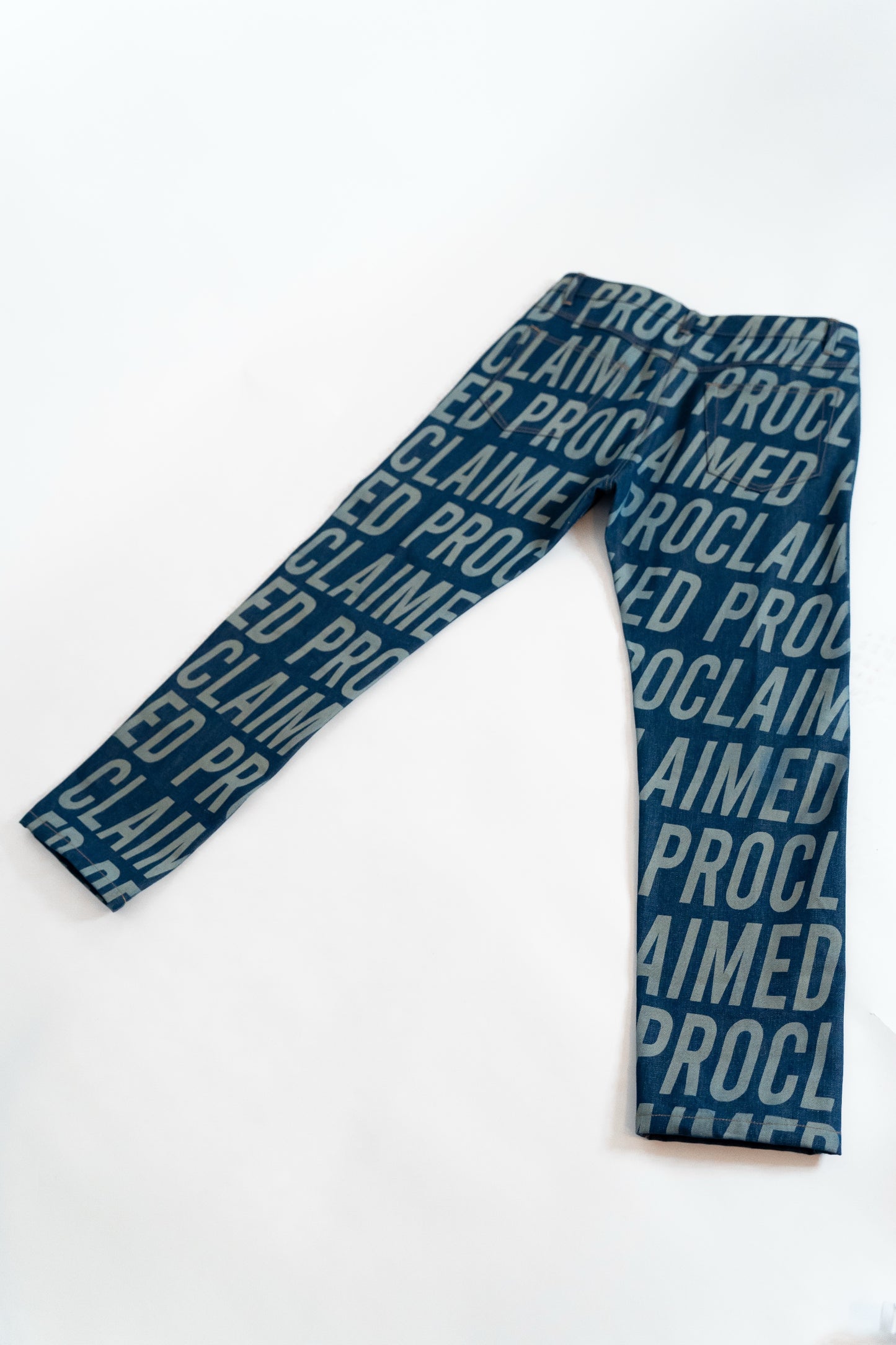 Proclaimed Flaired Denim