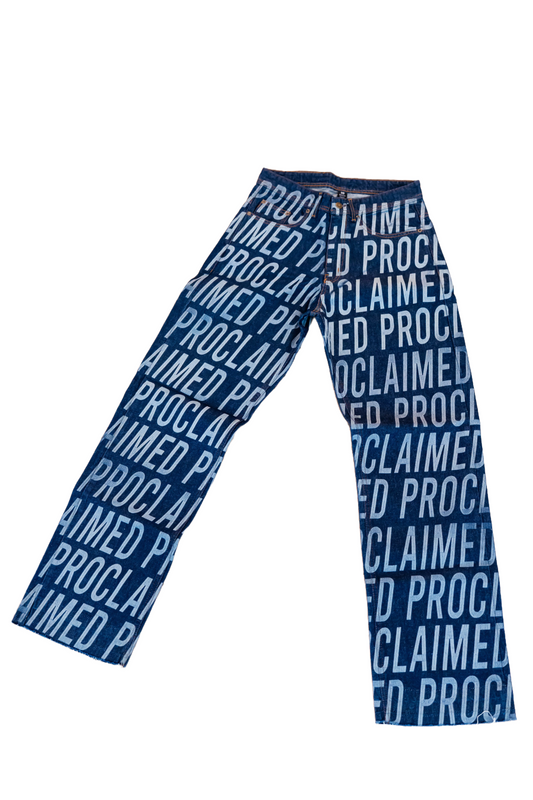 Proclaimed Baggy Denim